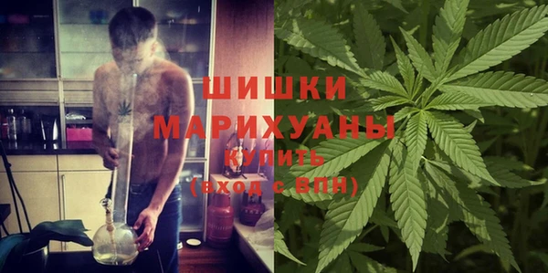 каннабис Болотное