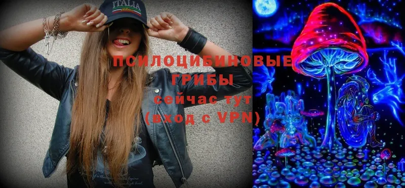 Псилоцибиновые грибы MAGIC MUSHROOMS  Малаховка 