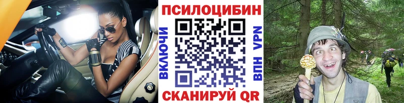 нарко площадка официальный сайт  Малаховка  Псилоцибиновые грибы ЛСД  как найти закладки 